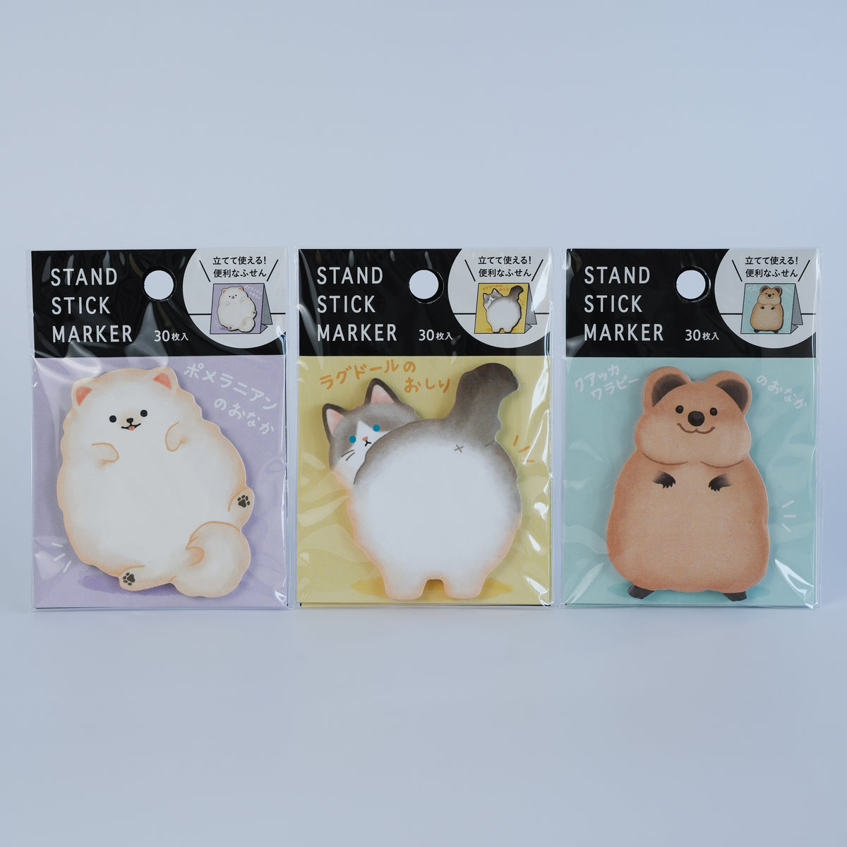 KITERA Stand Stick Marker Sticky Notes