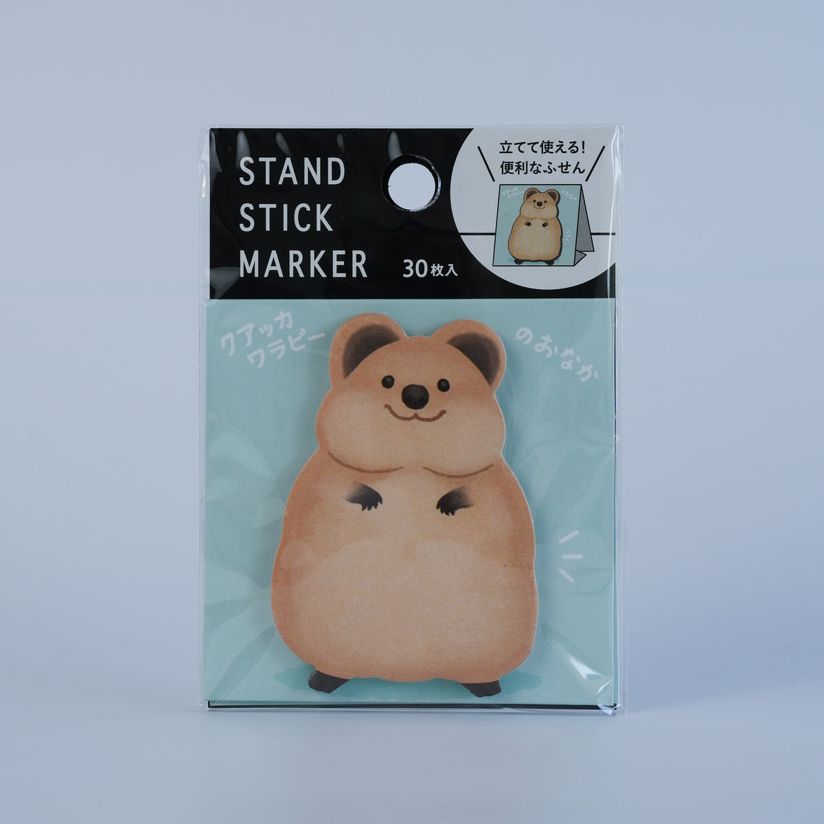 KITERA Stand Stick Marker Sticky Notes