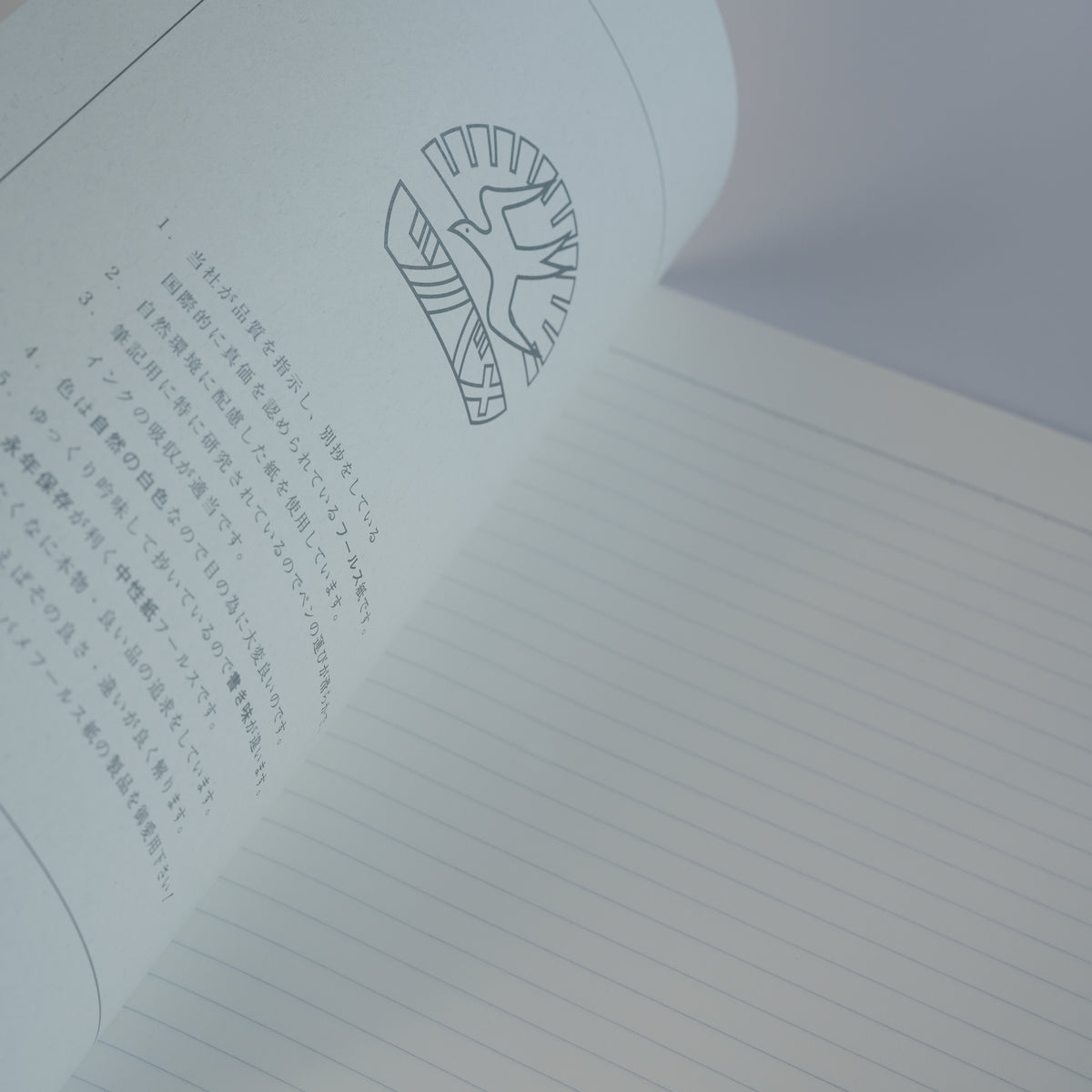 TSUBAME NOTE Moomin Notebook – B5 Ruled (8mm)